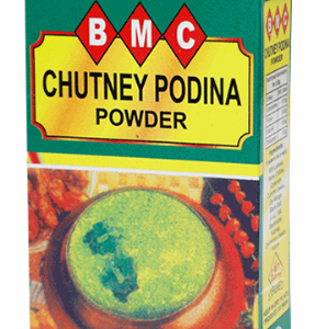 Chutney Podina Powder 100g | Mint Chutney Spice Mix | Bawa Masala